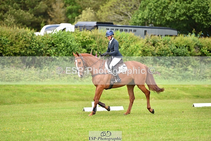 240523B-131346-02346 - 5 Year Old