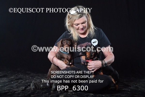 BPP_6300 - LESLEY GRANGER DOGS