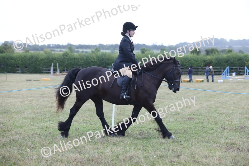 20250831-2390 - Class 16 - Family Pony