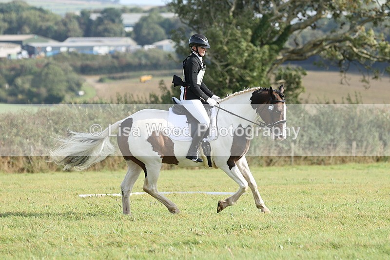 JPP_8137 - Class 2A: Trekenning Open: Dressage