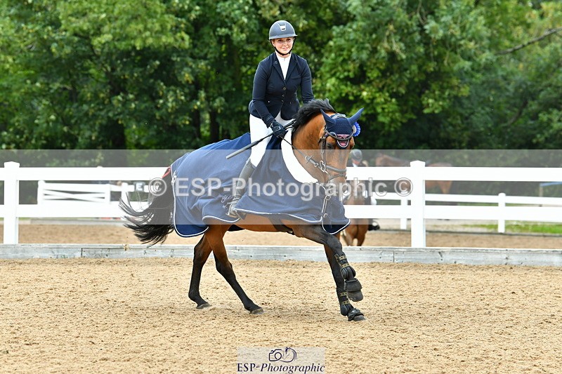 230721A-134031-06627 - Cls 14, 1 Star Bronze 1.10m