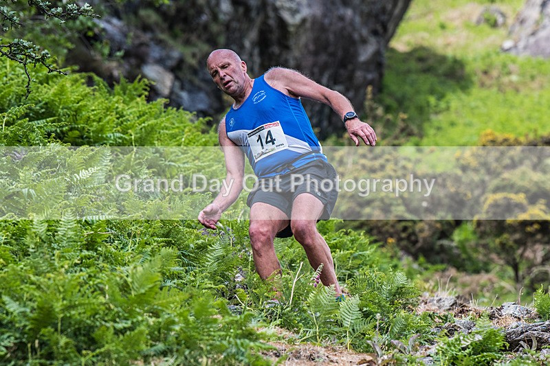 Coniston Seniors-319 - Coniston Gullies Senior Fell Race Sunday 25th May 2025