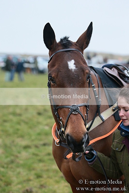 PtP 170219 -143 - Combined Services Point-To-Point Larkhill 17/02/19