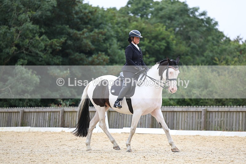 3E7A7384 - Class 9: Elementary 4 2024 - No sections