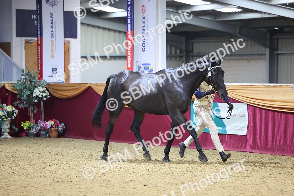 SBM_20776 - Class 902 - Supreme Final IH Veteran