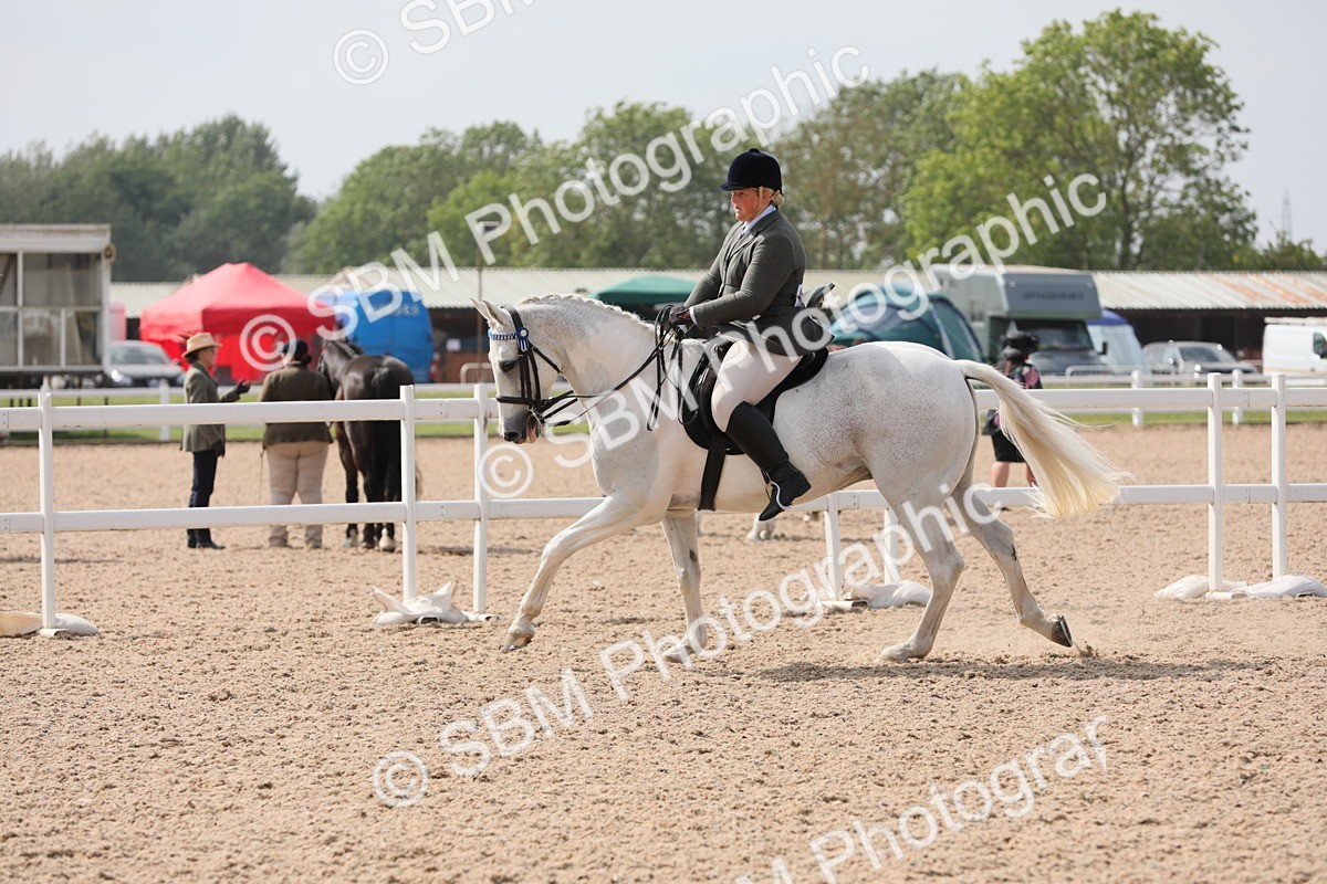 SBM_13385 - Class 308 Ridden Coloured Horse