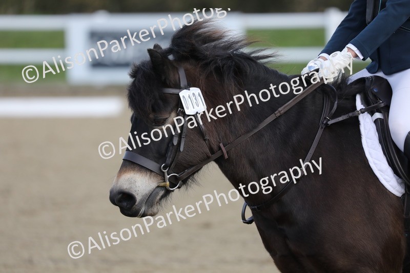 20260314-0230 - DR1 - Intro 1