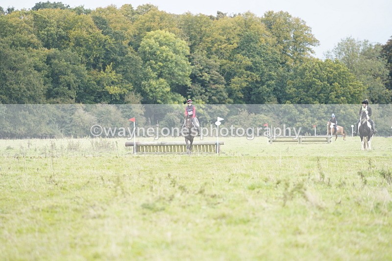 _DSC7676 - Time at Photographer 11:24 to 11:55