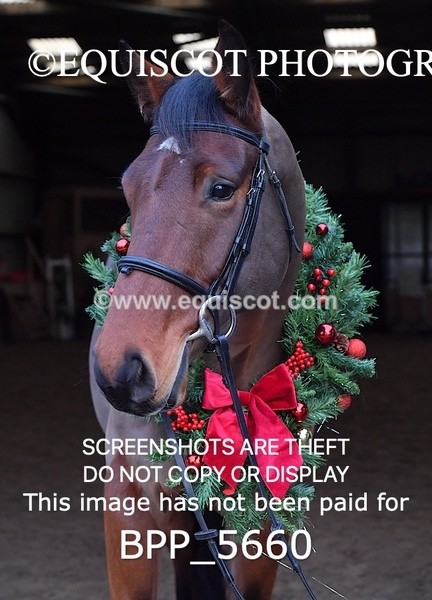 BPP_5660 - Imogen Gray