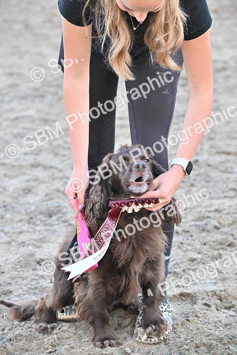 SBM_09558 - Lorry Dogs