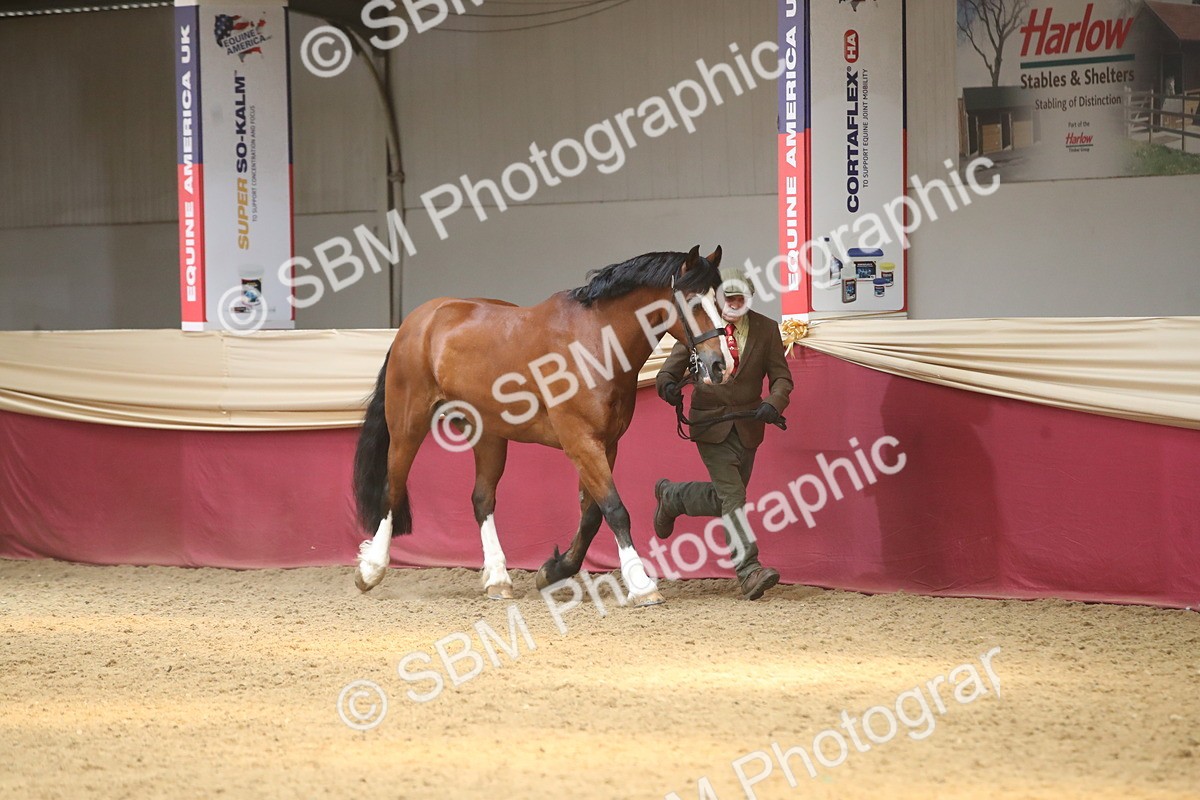 SBM_05588 - Class 9R - Regional IH Pre-Vet