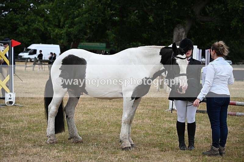 WJ6_4353 - Class 10 Coloured In-hand