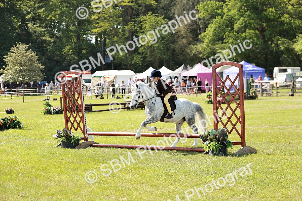 SBM_12783 - Class 106-107 - BSPS LIHS Working Sports Pony