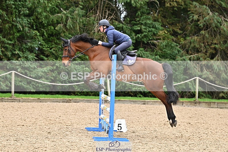 250201A-122104-00655 - Cls 02 Local Horse 100cm