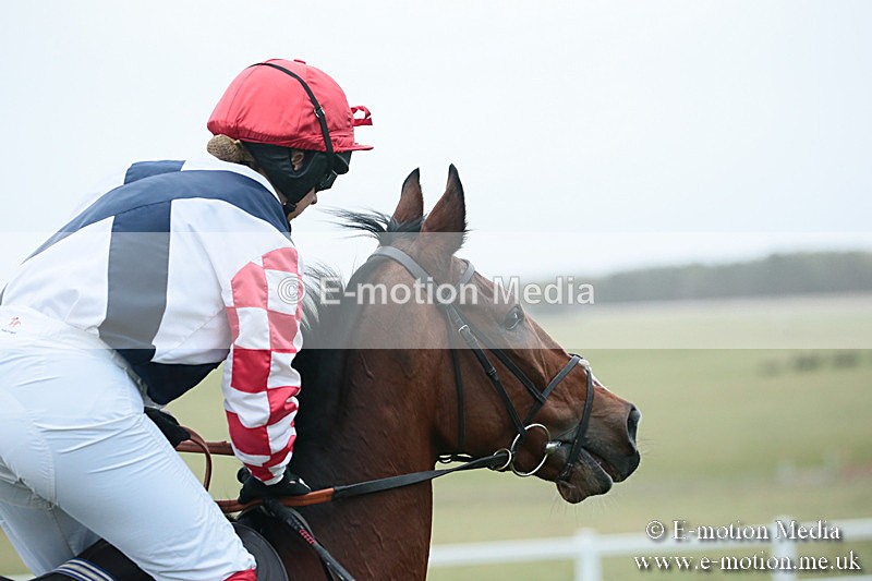 PtP 021218-55 - Hursely Hambledon Hunt Point-to-Point - Larkhill 02/12/18