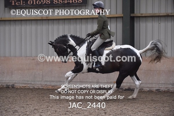 JAC_2440 - CLASS 3 Intermediate Working Hunter
