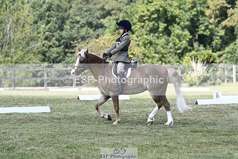 250822A-124854-21914 - DR 12.00 to End