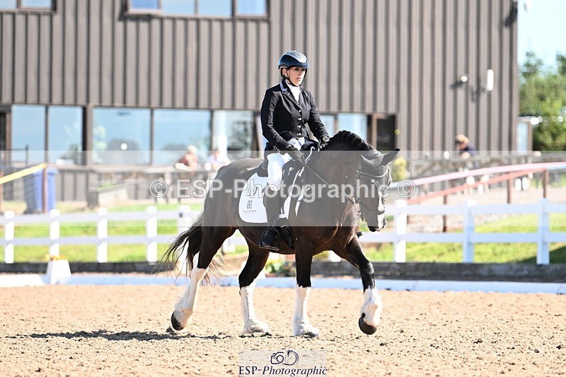 240816A-101720-03793 - 148-Donna.Willis-Cerrighedd.Yago