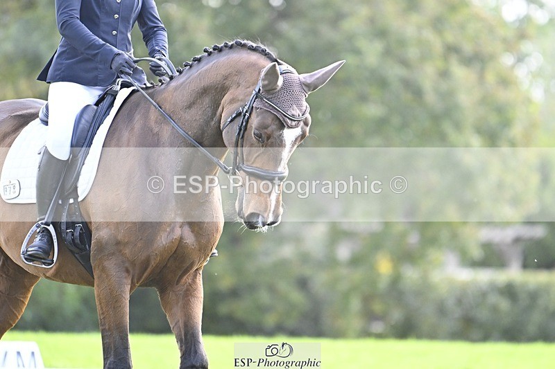 241025-133120-09477 - 378-Fern.Hordern-SHES.ALL.THAT