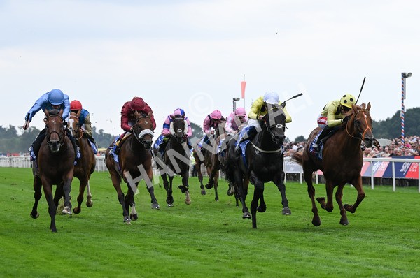 230825-002 King Of Cities - Race 1 1.50pm Sky Bet Strensall Stakes