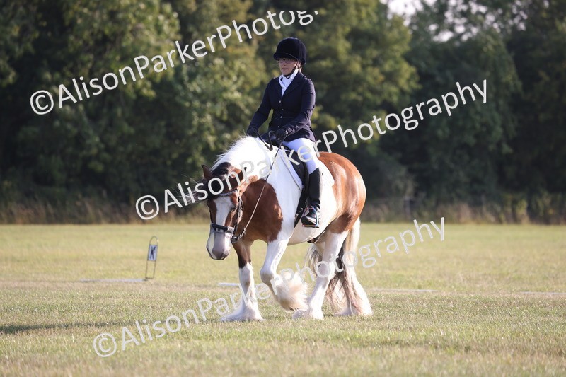 20250731-0810 - Class 1 - Intro 4