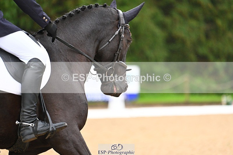 231021-111053-14613 - 236-FAIRLIGHT.ALLEGRA-Jonny.Lee-DR