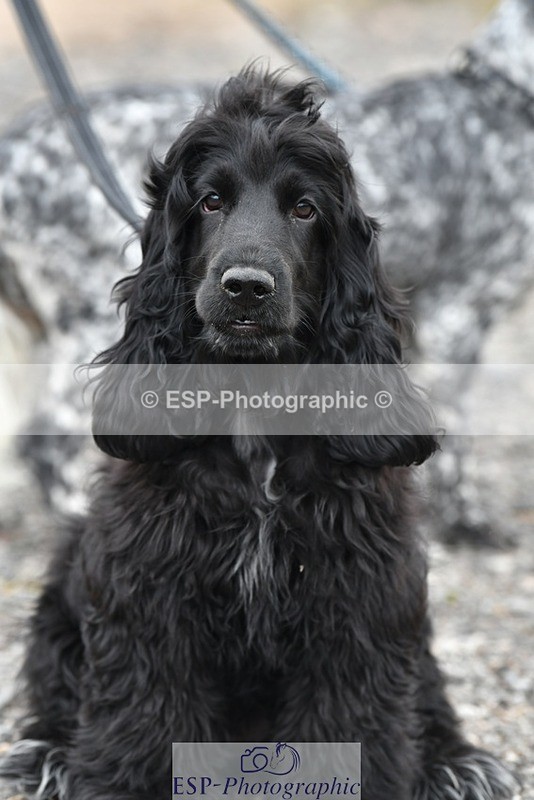 230817-124552-02810 - Stable Shots