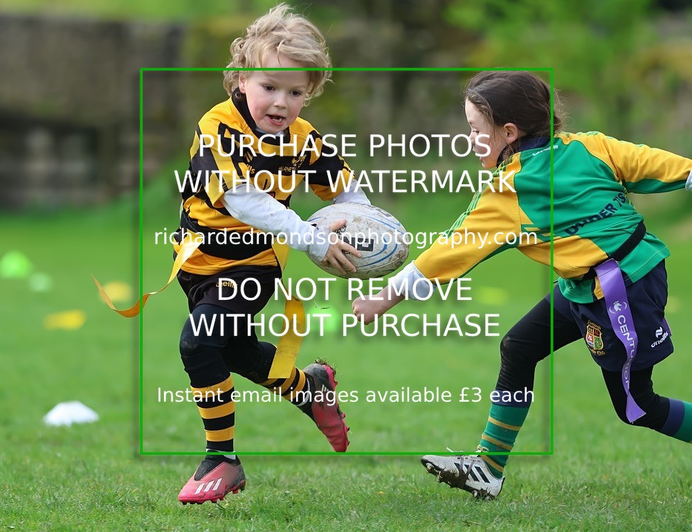 533A5374 - Kendal Rugby Under 7's (12/4/26)