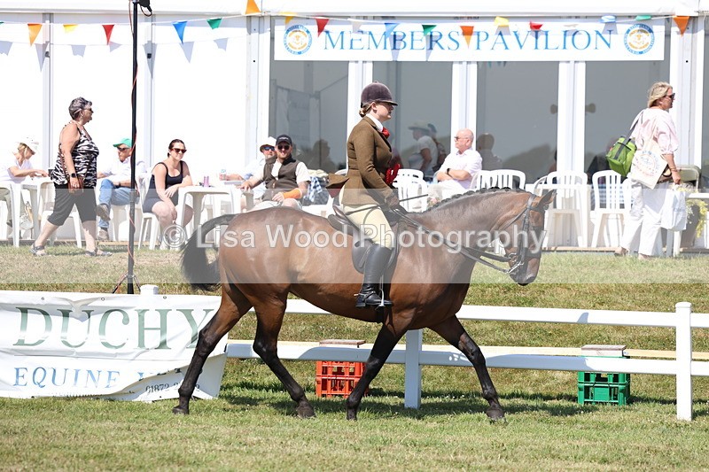 3E7A7466 - Rising Star Ridden Championship