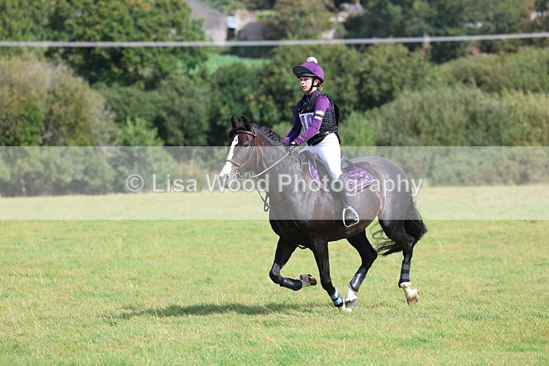 3E7A6556 - Class 1: Trebudannon Open: Pheasant Feeder