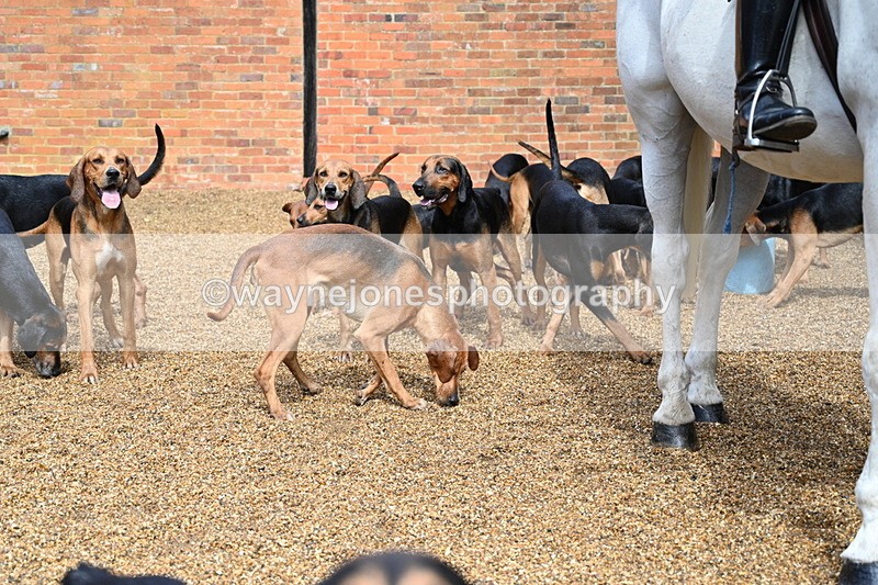 WJ7_7000 - Berks & Bucks at Blandy’s Farm 31-08-25
