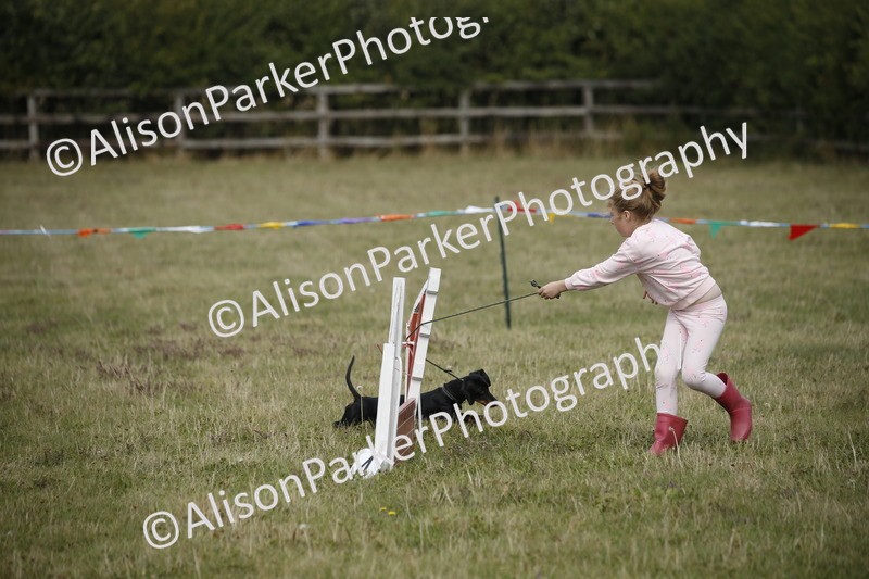 20250831-3902 - Dog Show