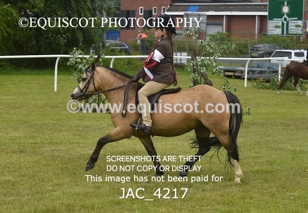 JAC_4217 - WORKING HUNTER CHAMPIONSHIP