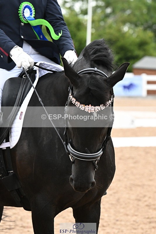 240815A-153411-02364 - Cls 10-P Freestyle Adv Medium Silver