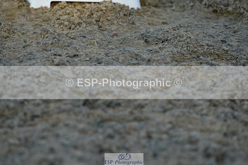 230623-183258-03287 - Cls 11 FEI PSG