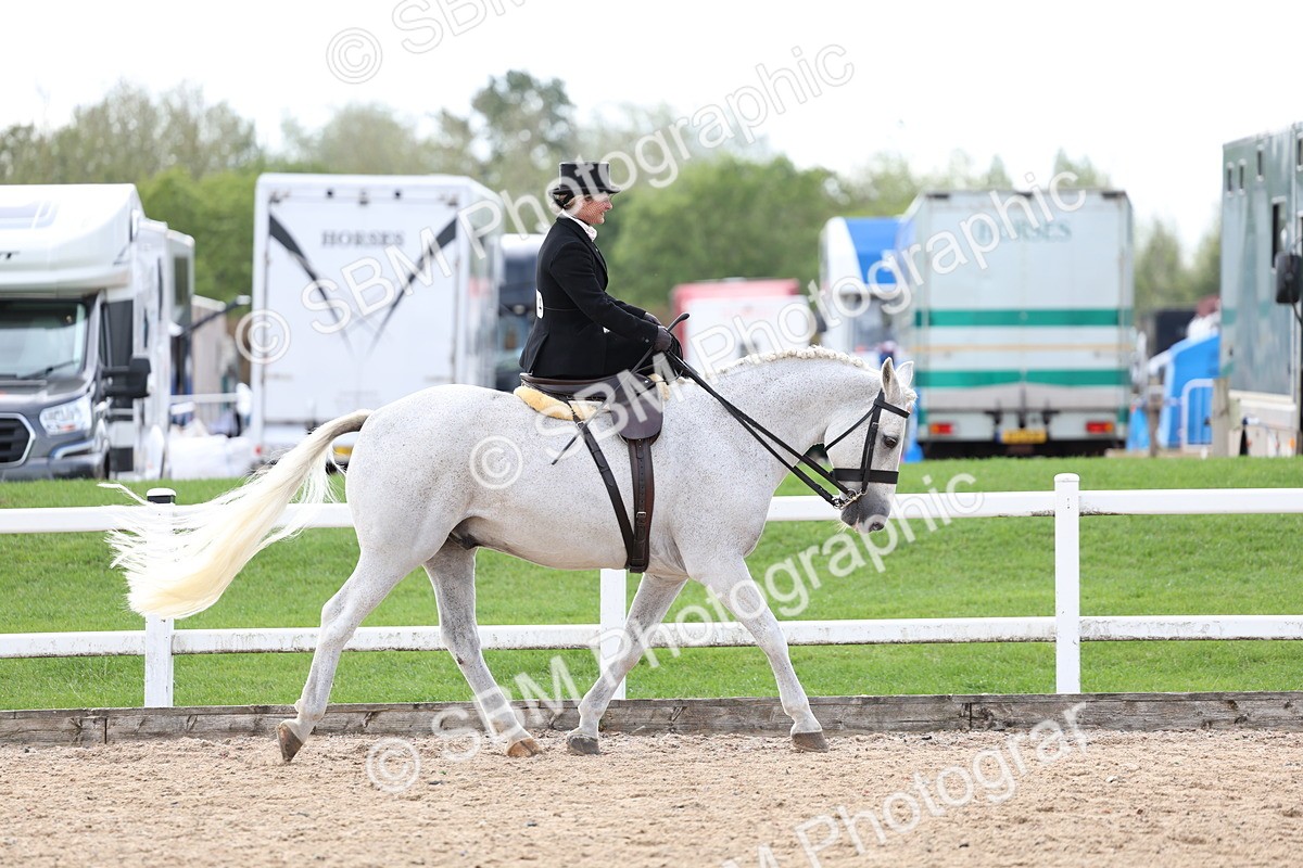 SBM_03176 - Class 22 - SSA Equitation (any age)