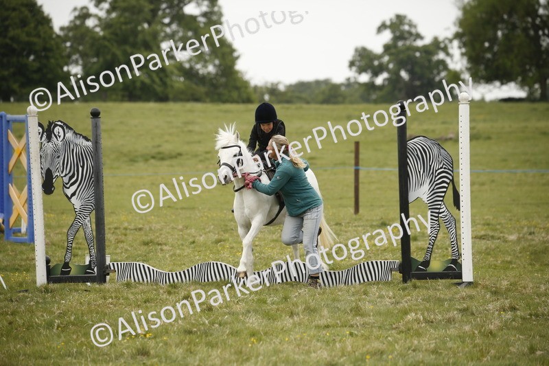 20250517-0290 - Class 1 - 30cm On Lead Rein