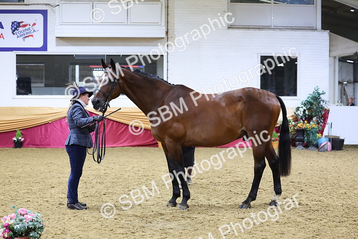 SBM_19660 - Class 901 - Supreme Final - IH Diamond