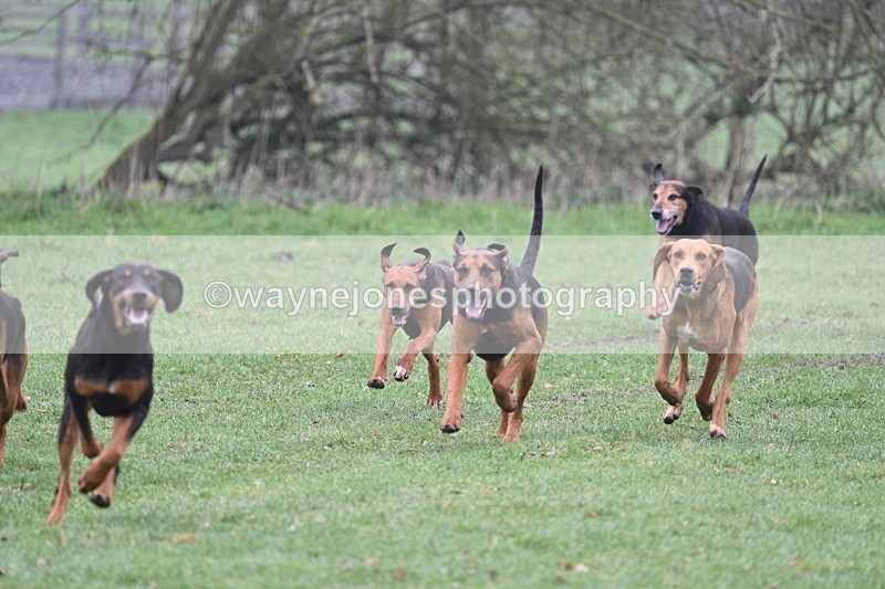 WJ7_0046 - Line 1 cam A