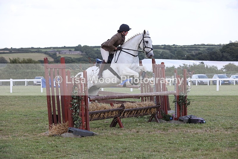 JPP_3618 - Class 24: Open Working Hunter