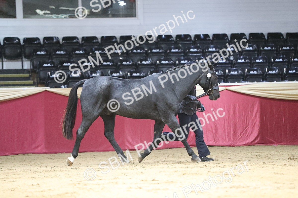 SBM_04358 - Class 7R Regional - IH Diamond