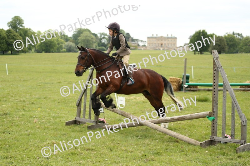 20250517-1160 - Class 21 - Novice Working Hunter