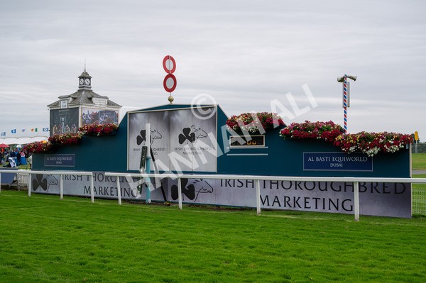 120724-Race 6-The Coffee Pod-8914 - Race 6 4.55pm Irish Thoroughbred Marketing Handicap