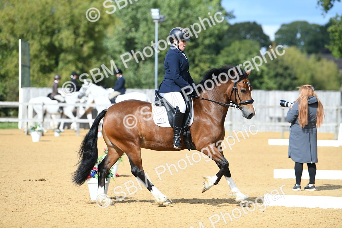 SBM_07455 - D15 Small Tour Championship Novice 24