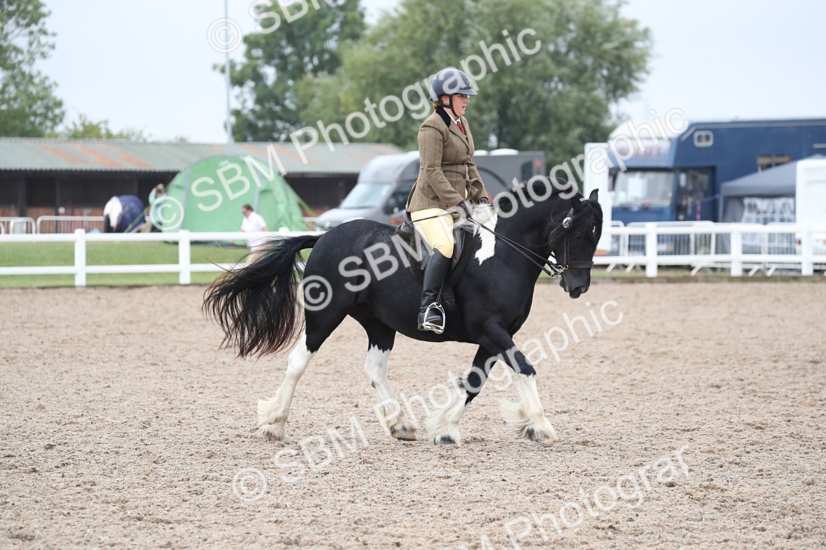 SBM_22027 - Class 603 - 2025 Area Ridden Pre Vet