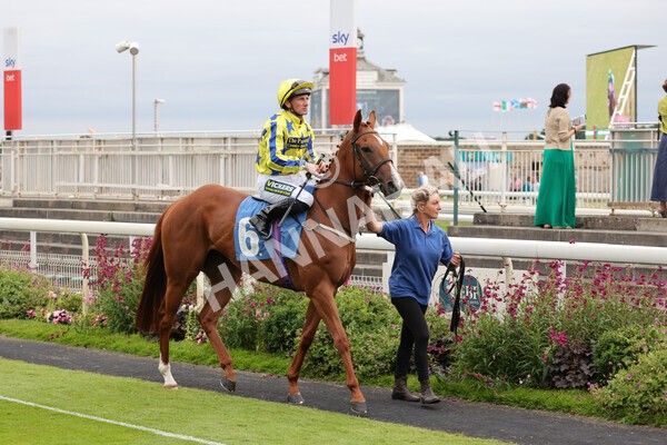 yr23072021r6-9 - Race 6 8.30pm Sky Bet Go-Racing-In-Yorkshire Summer Festival Stakes