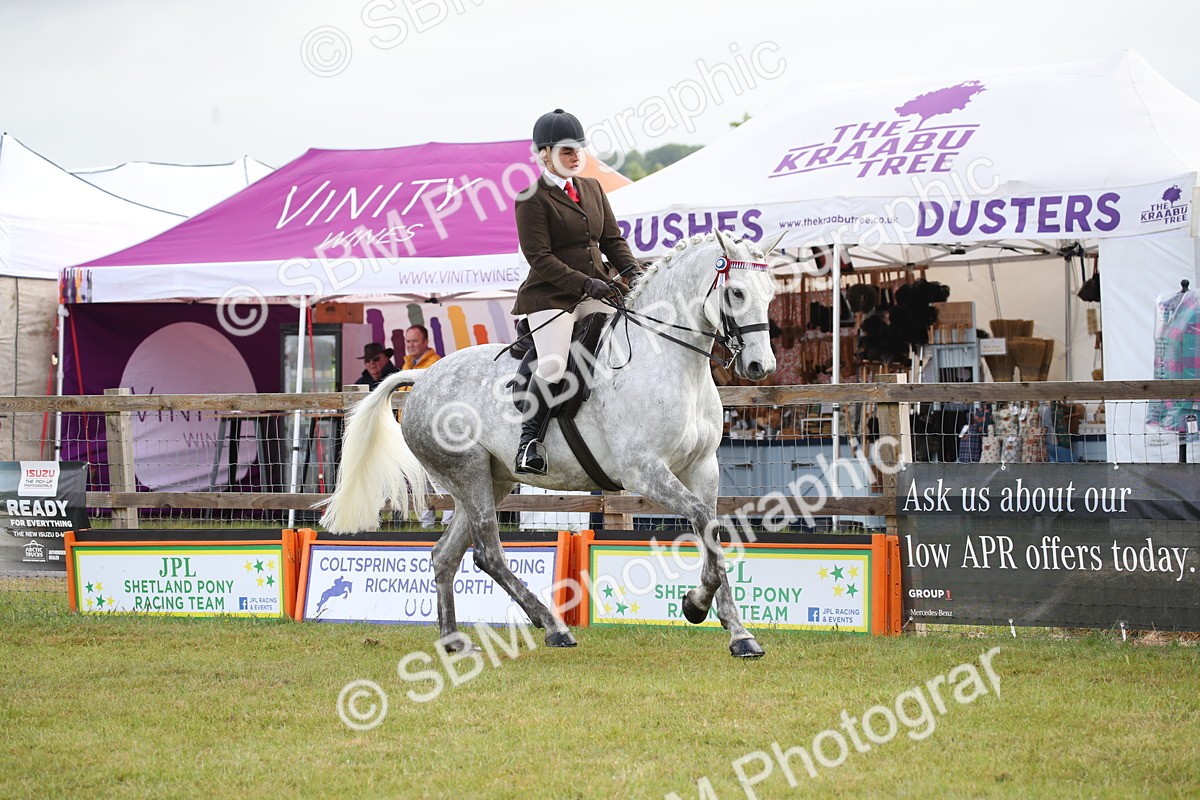 SBM_11511 - Class 95-96 - LIHS BSHA Rising Star Hack Riding Horse