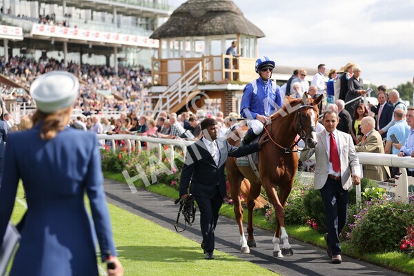 yr18082021r4-52 - Race 4 3.35pm Juddmonte International Stakes (British Champion Series race)