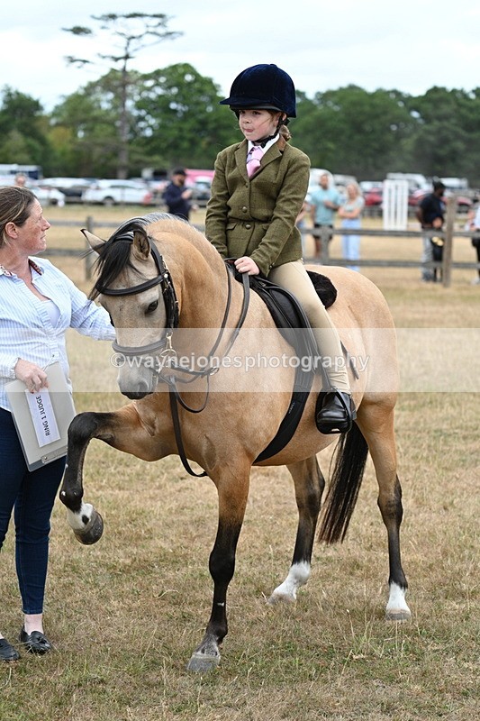 WJ7_7394 - Class 2 Best Rider