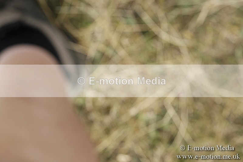 _PJP5664 - Dressage Classes BVRC Show 2018